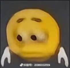 山东凤祥股份公司